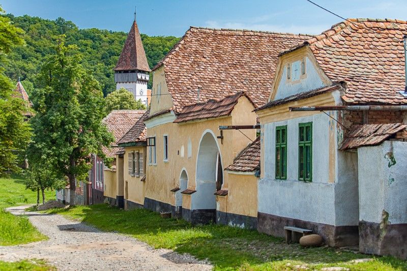 transilvania ialoc